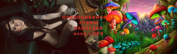твердый Снежинск