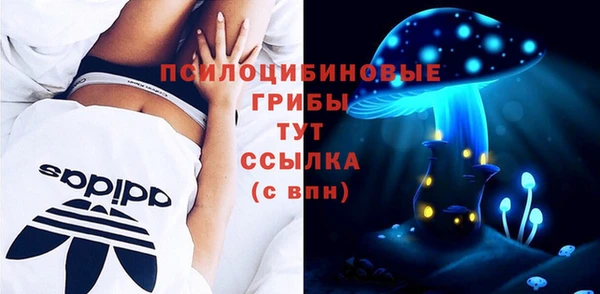 стафф Слюдянка