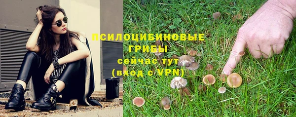 мяу мяу мука Снежногорск