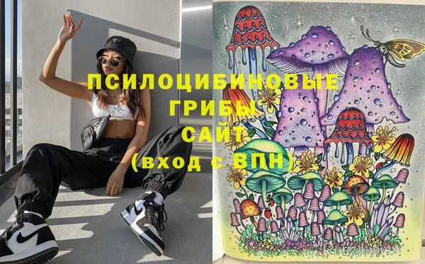 стафф Слюдянка