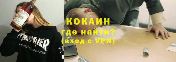 шишки Сосновоборск