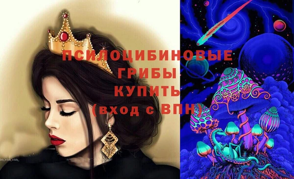 мяу мяу мука Снежногорск