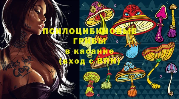 а пвп мука Сосновка