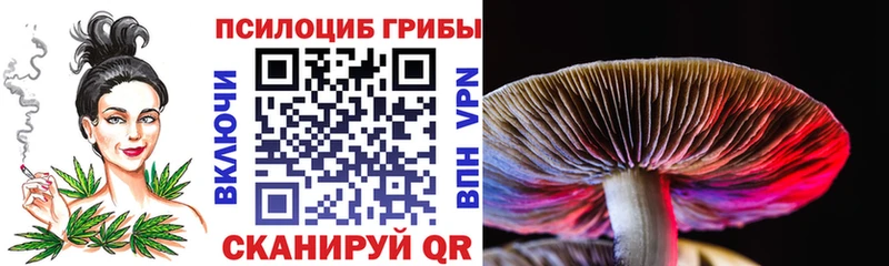 kraken сайт закладки Брюховецкая Галлюциногенные грибы Cubensis